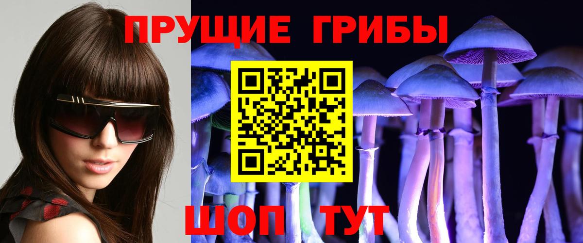 Псилоцибиновые грибы Cubensis Кстово